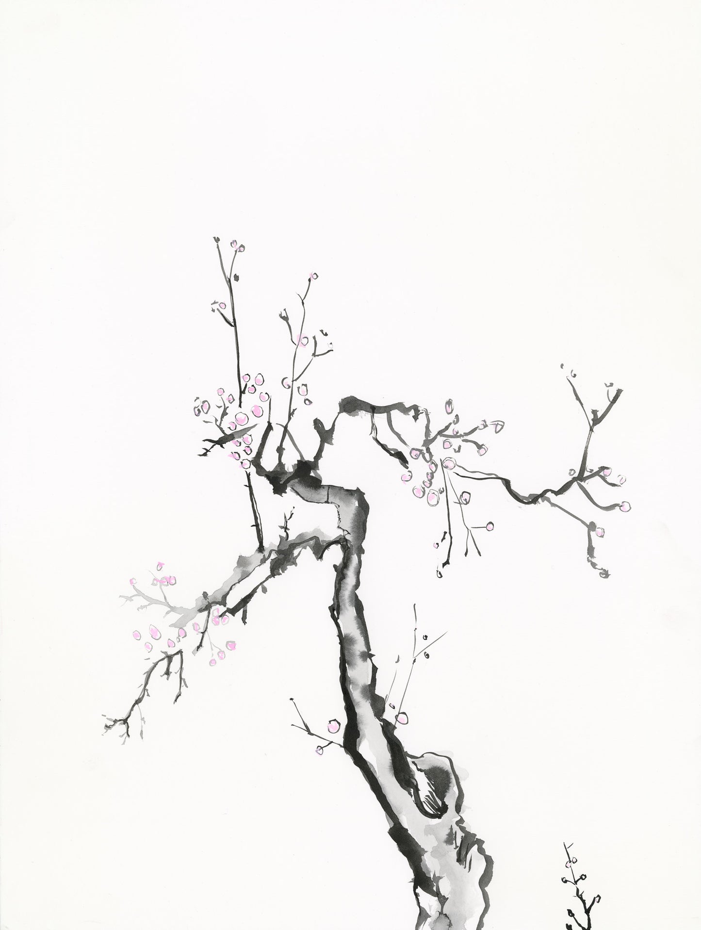 After White Plum by Gim Hongdo