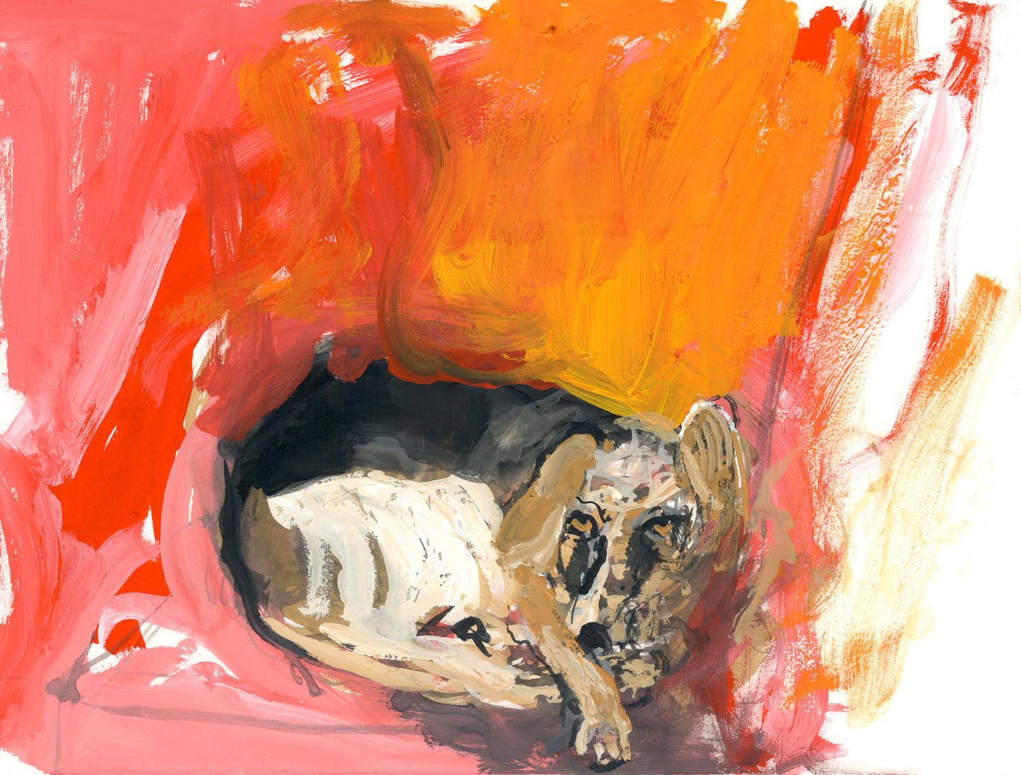 Sleepy Dog - Study 3 - Scary