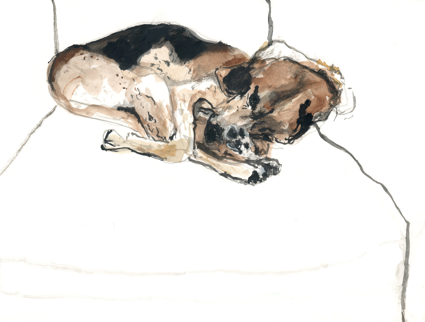 Sleepy Dog - Study 4 - Gangly