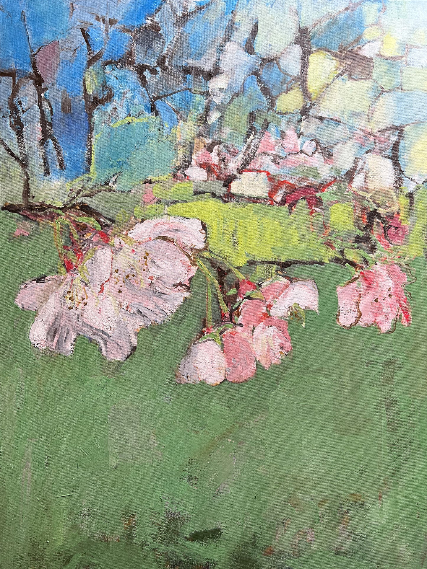 False Spring 2