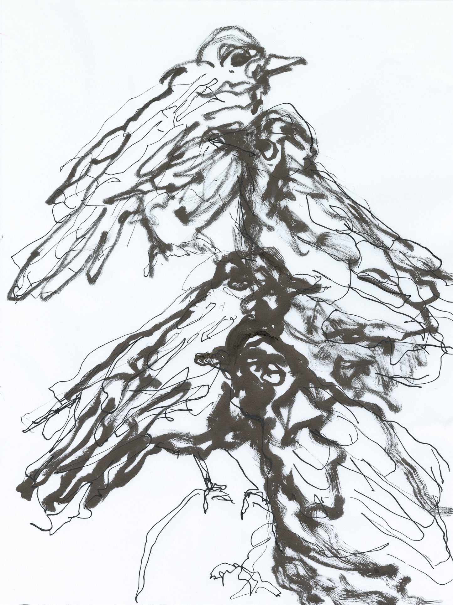 Four Calling Birds