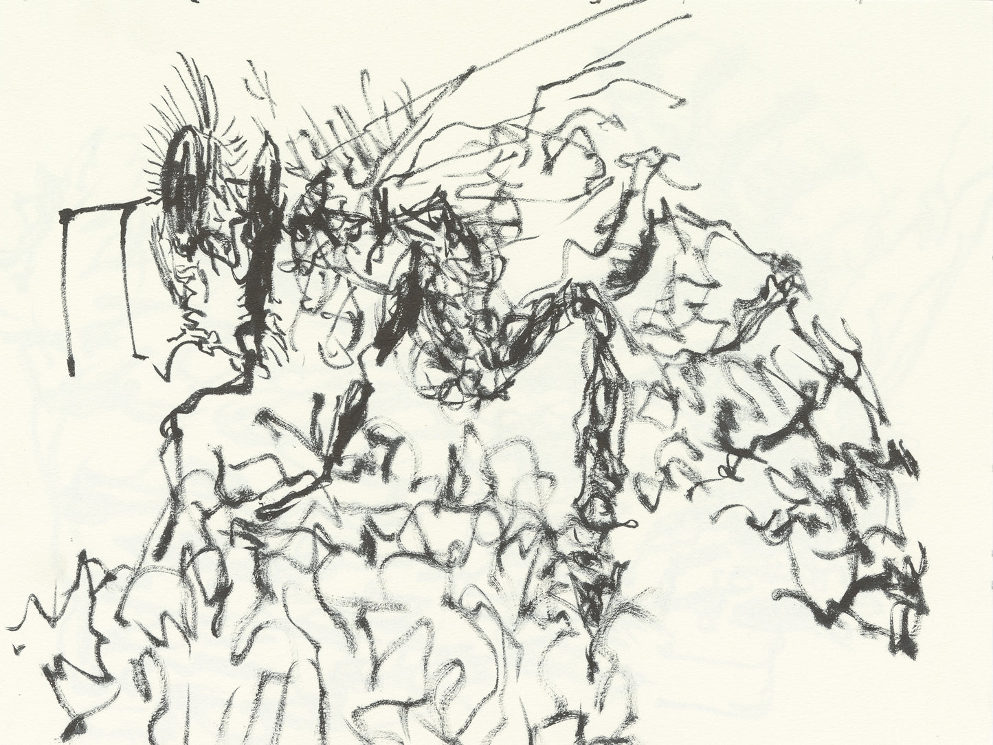 Honeybee.04