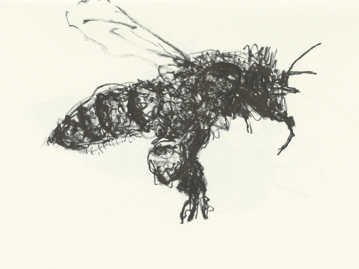 Honeybee.08