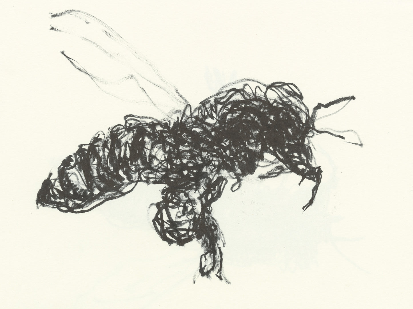 Honeybee.09