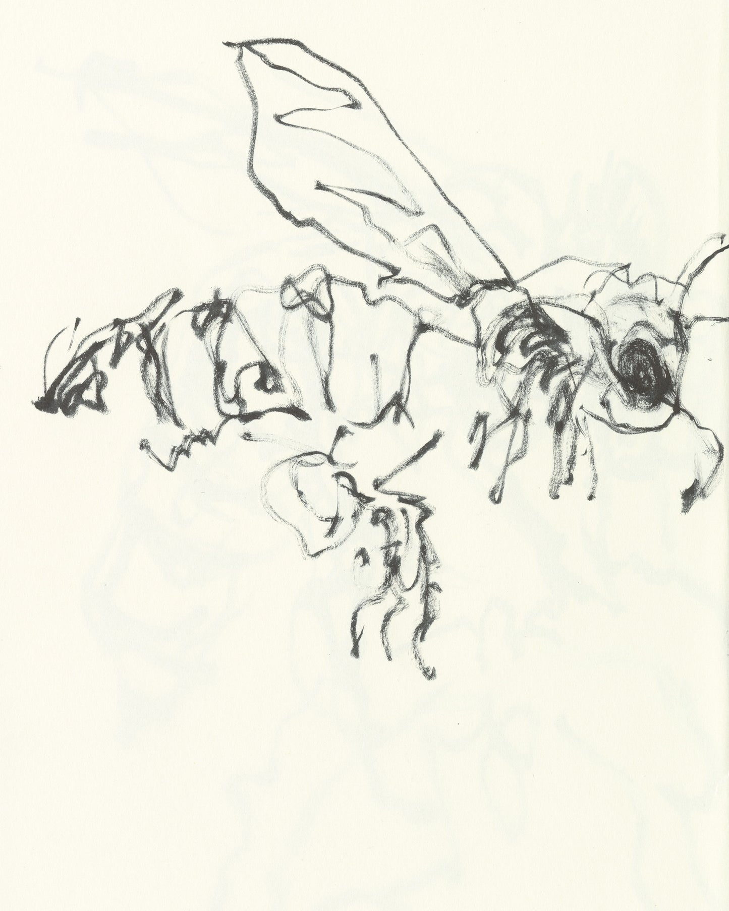 Honeybee.12