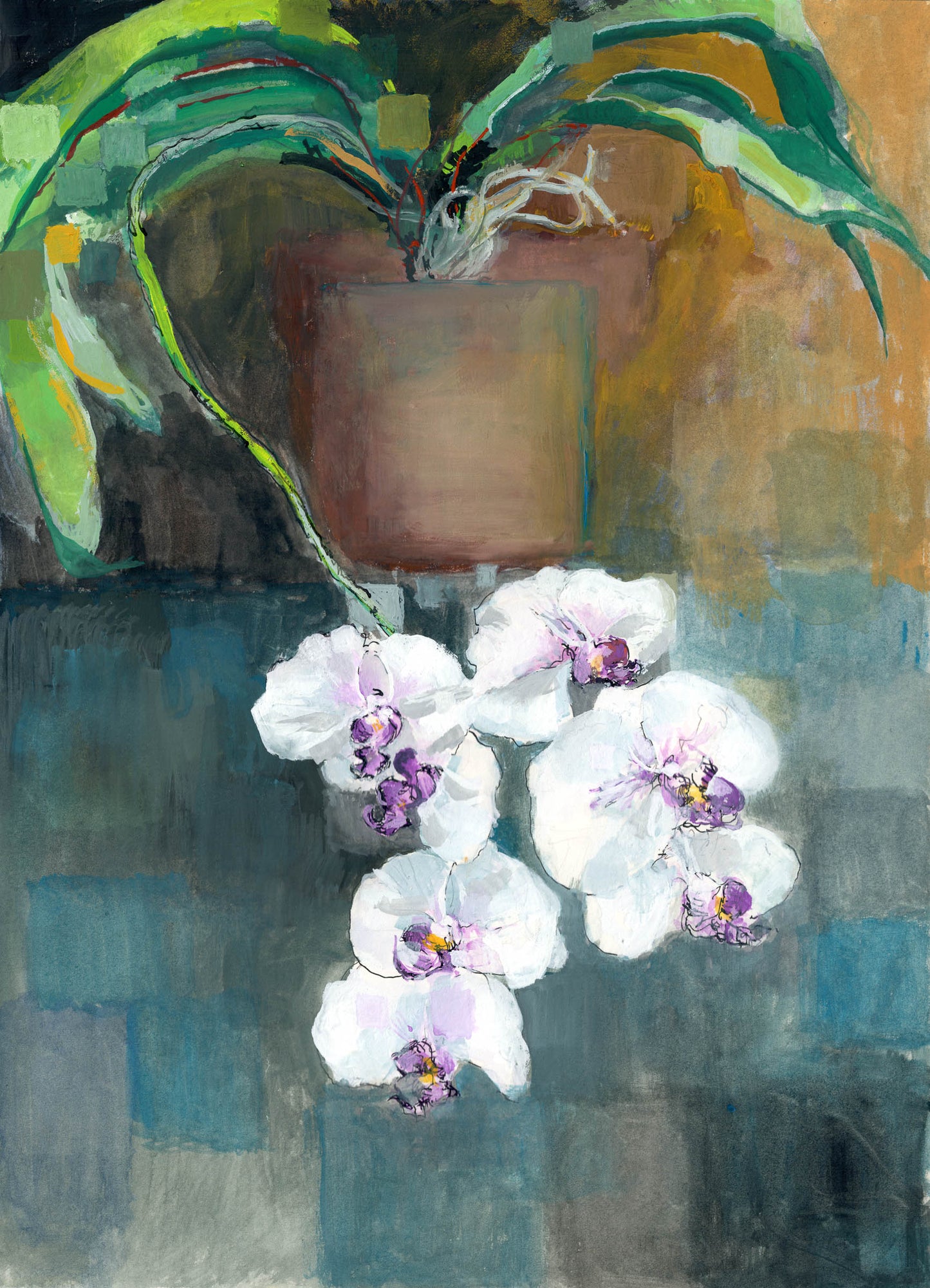 Orchid