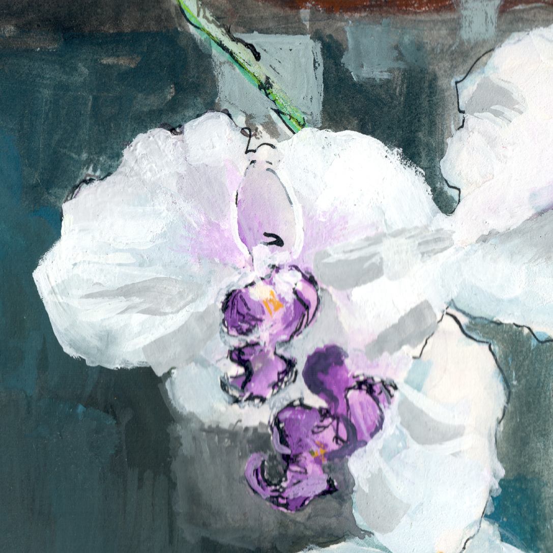 Orchid