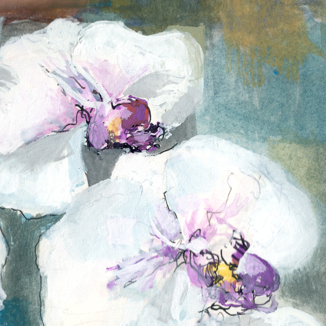 Orchid