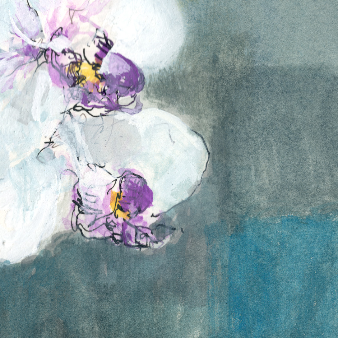 Orchid