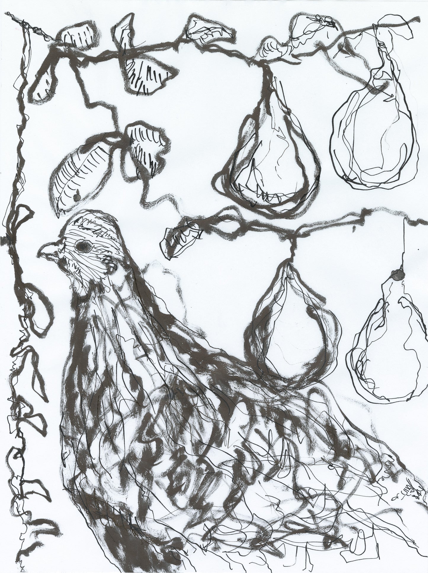 A Partridge in a Pear Tree