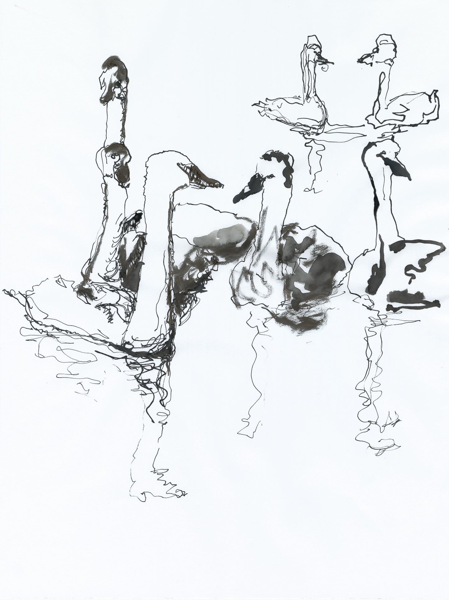 Seven Swans A-Swimming