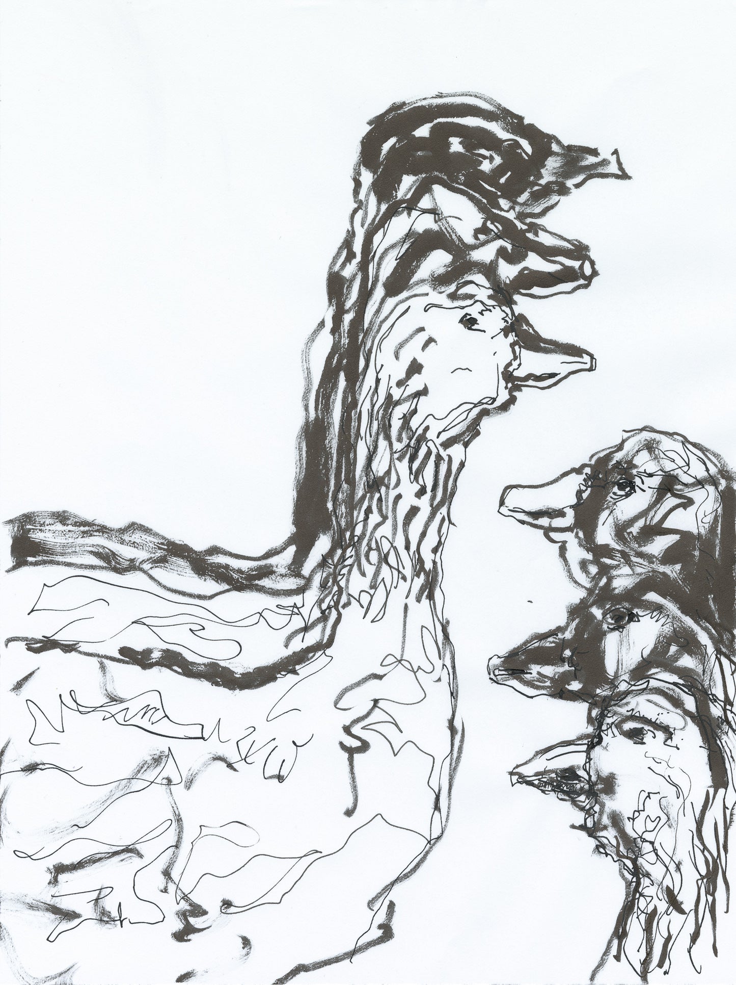 Six Geese A-Laying