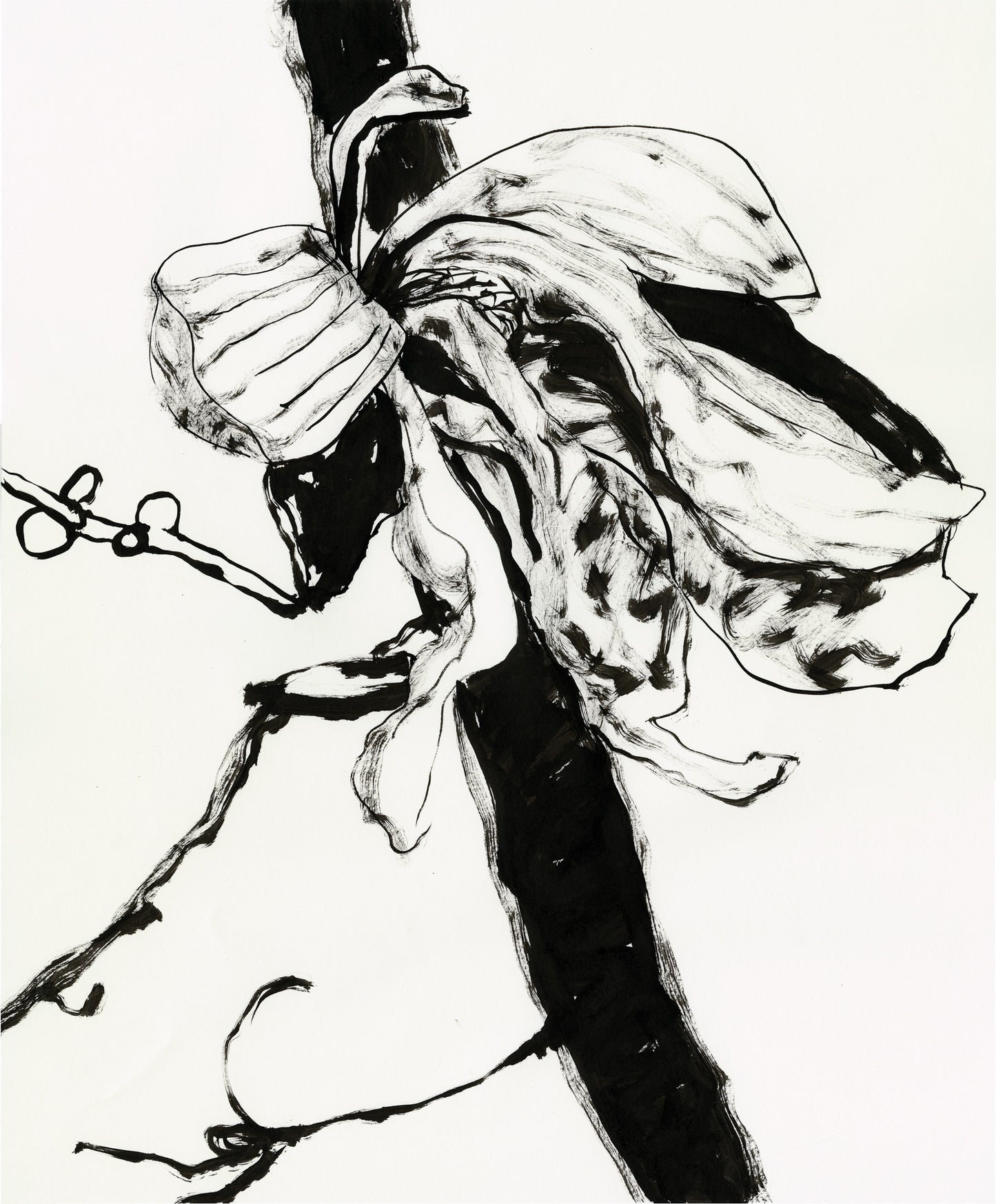 Star Magnolia III - The Expressive Bloom