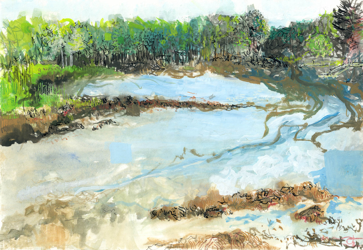 Tidal Landscape - Kennebunkport