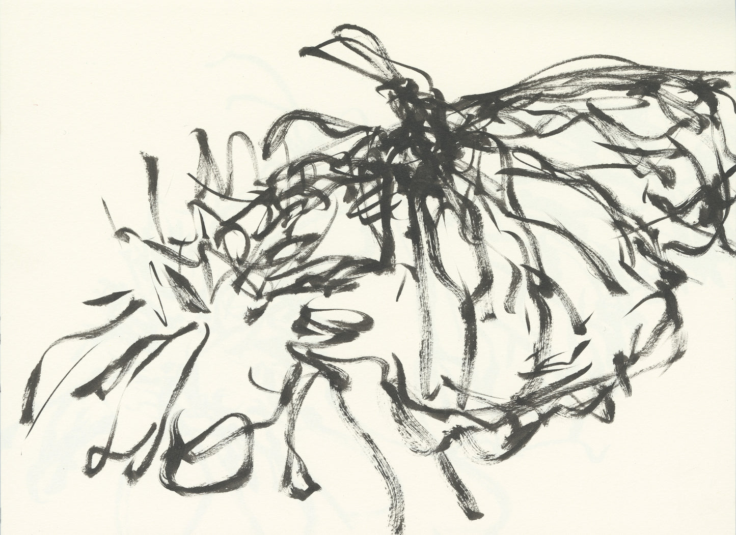 Monarch and Coneflower Sketch