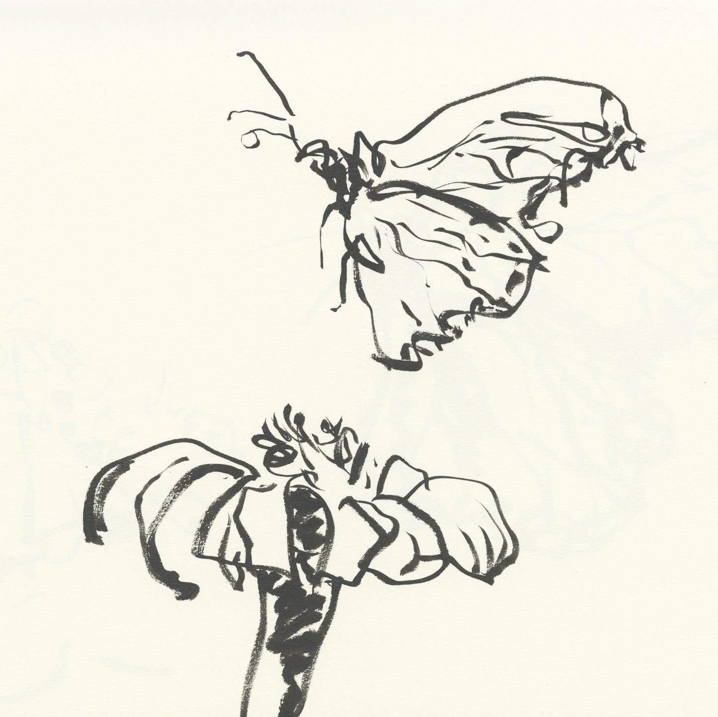 Monarch and Mexican Sunflower Sketch
