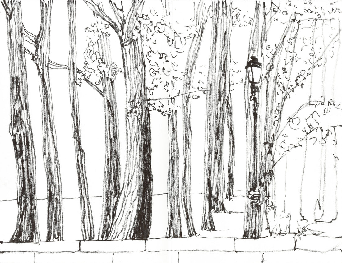 Nature's Tranquility in Brush and Ink