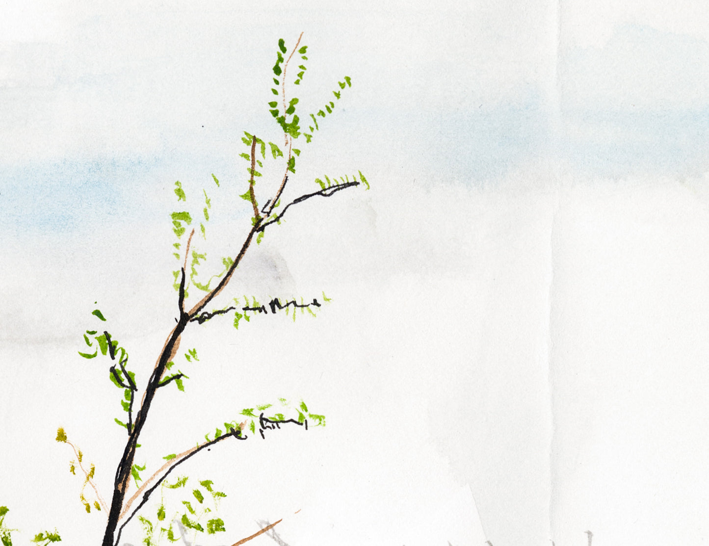 New Leaves, Red Hook
