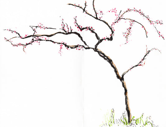 Redbud, Quietly Blooming
