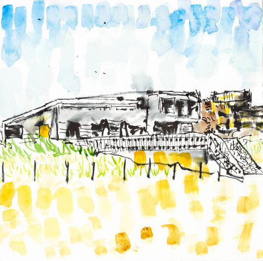 Seaview Sketches: Dune House