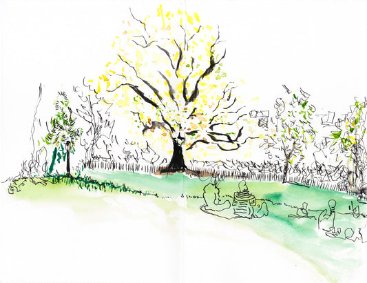 Spring Vista, Fort Greene