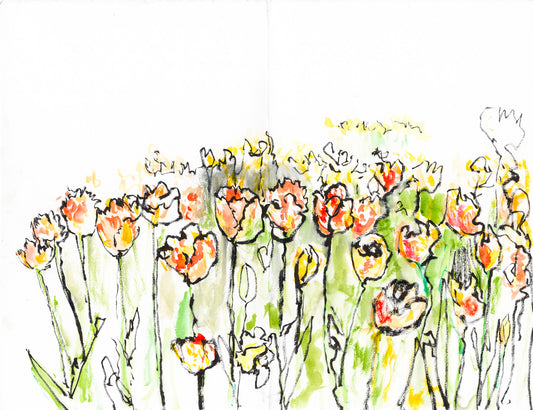 Tulips in the Sun