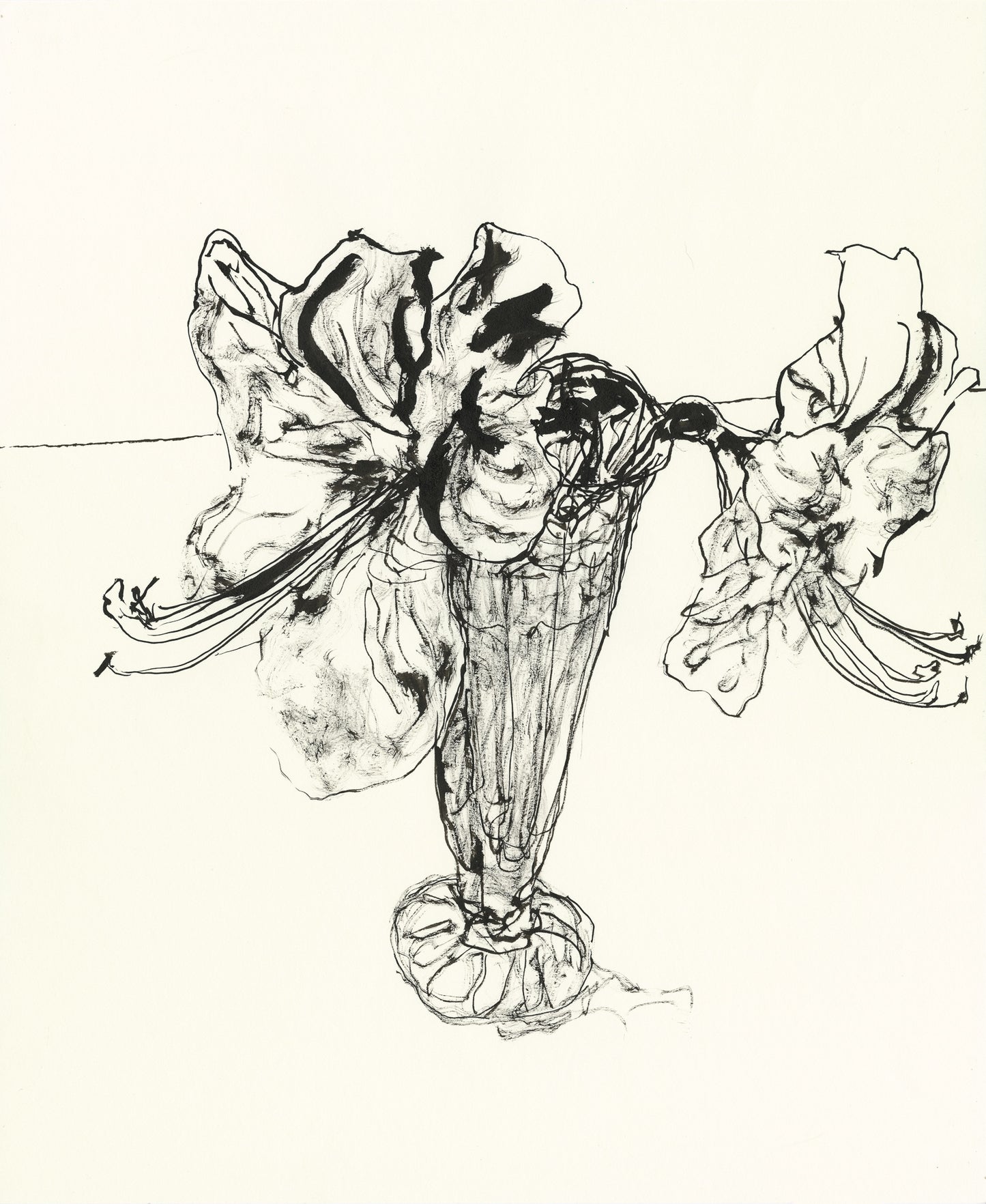 Amaryllis in Sundae Glass - Brush and Ink Drawing
