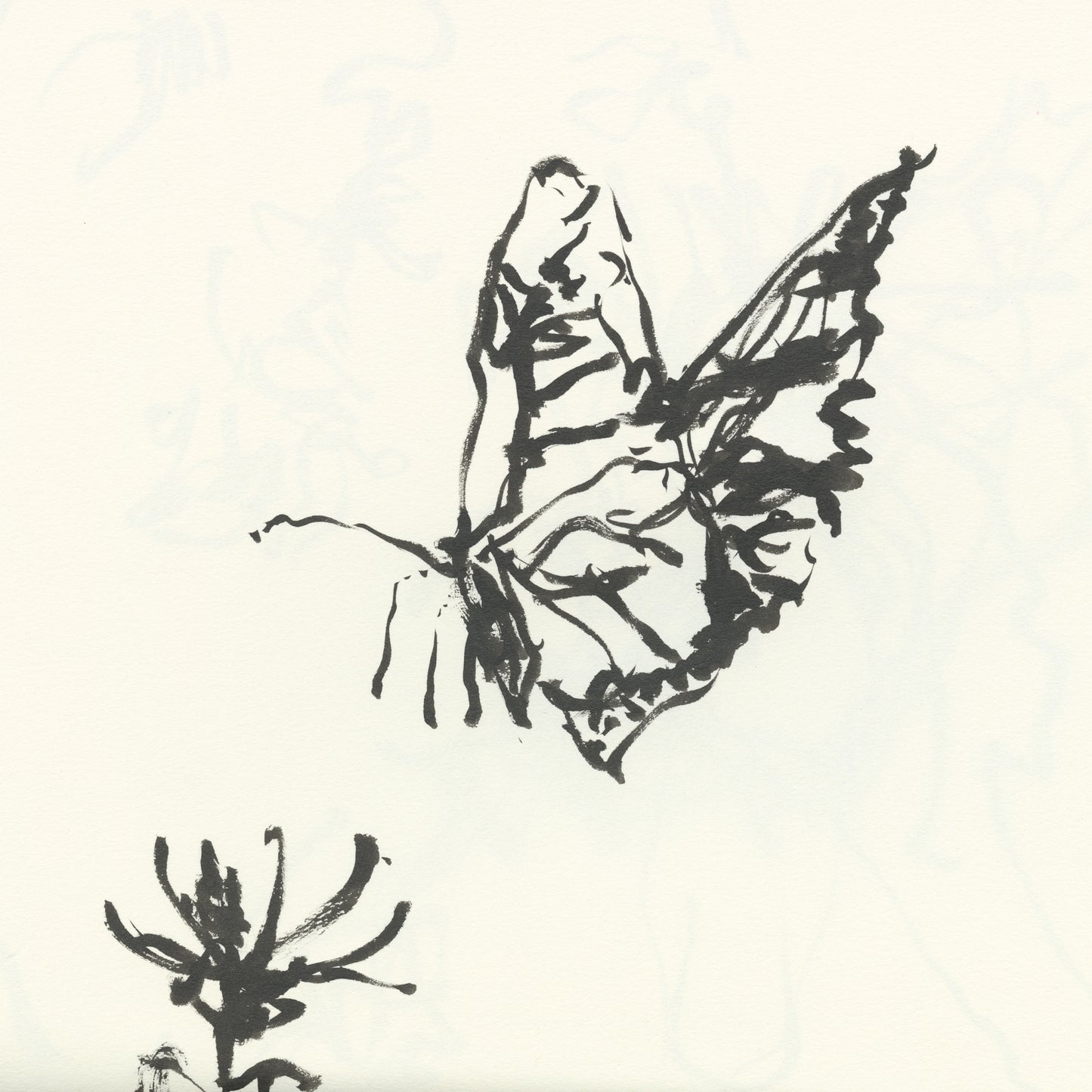 Monarch and Purple Aster Sketch