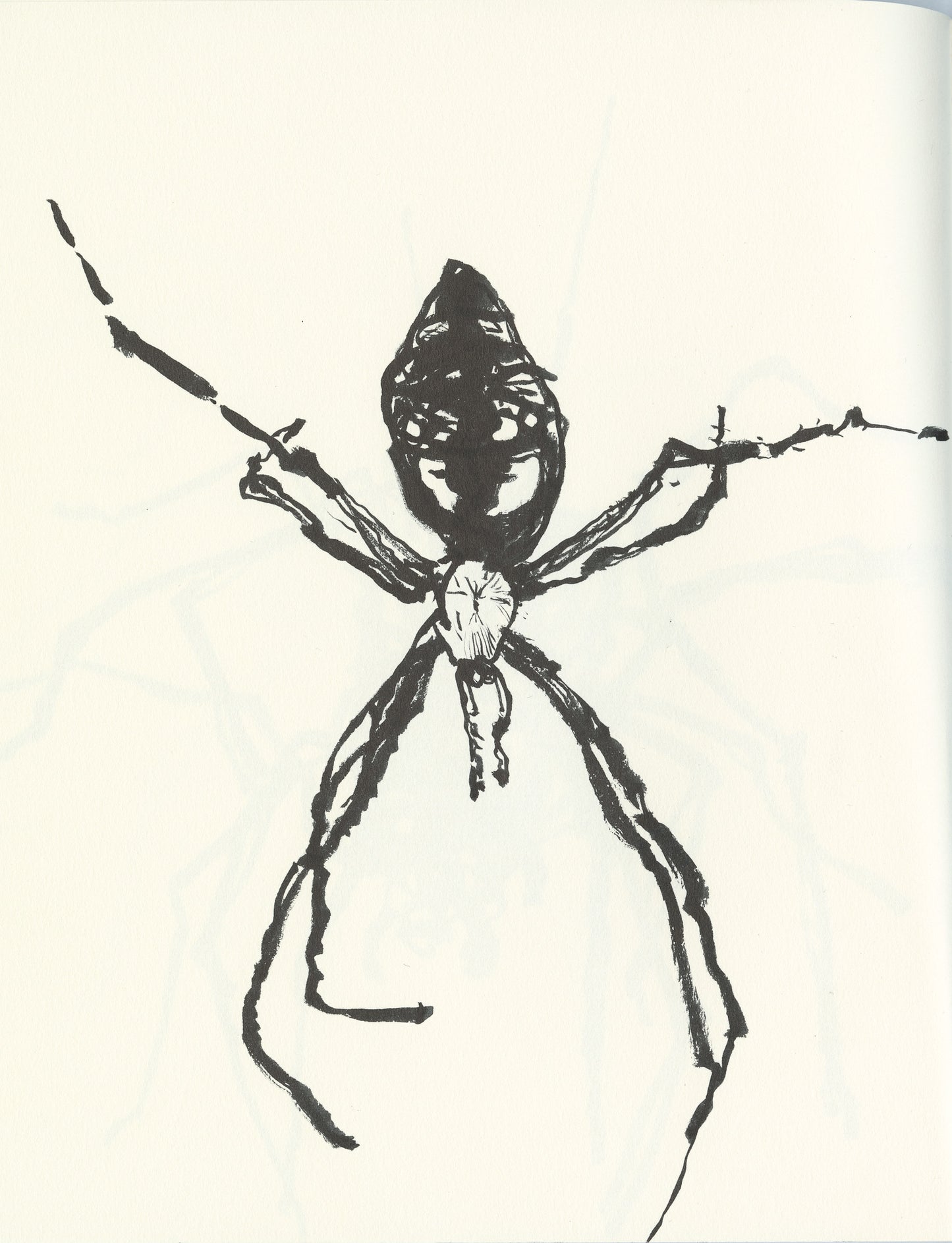 Spider.08