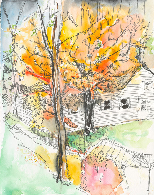 Tree Blazing Over Wightman Fruit Farm