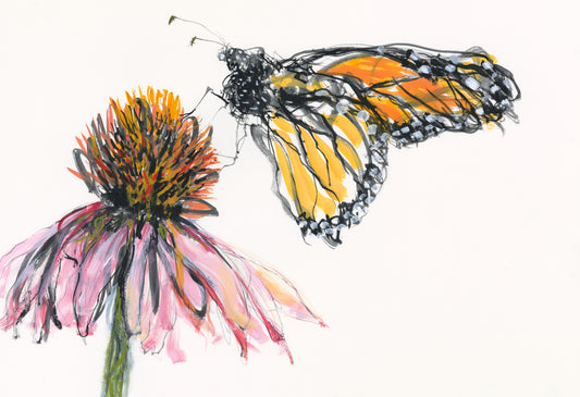 Monarch with Coneflower