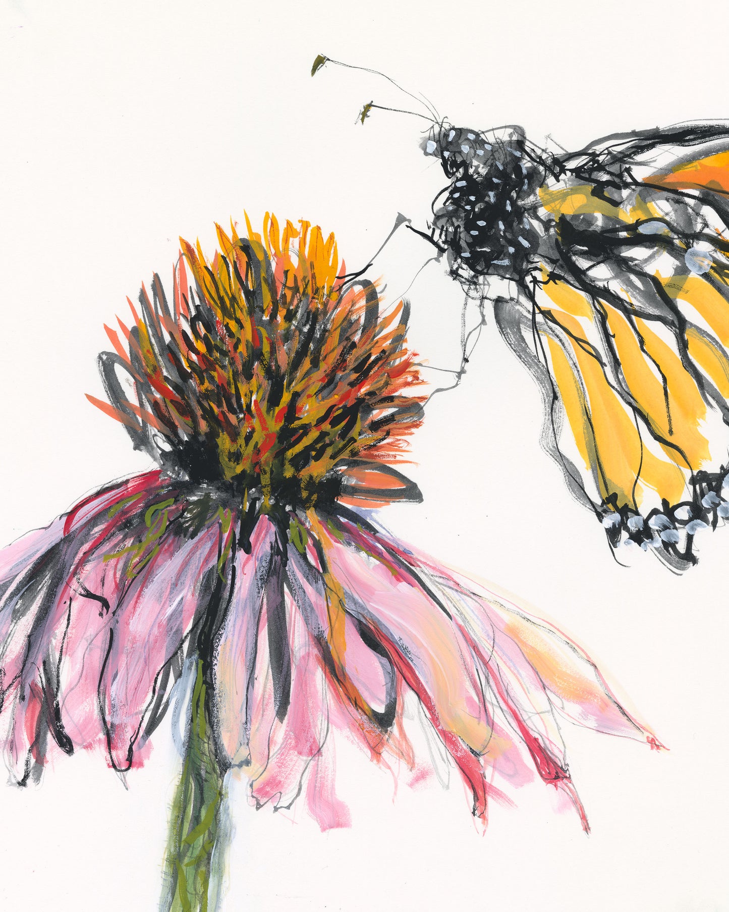 Monarch with Coneflower